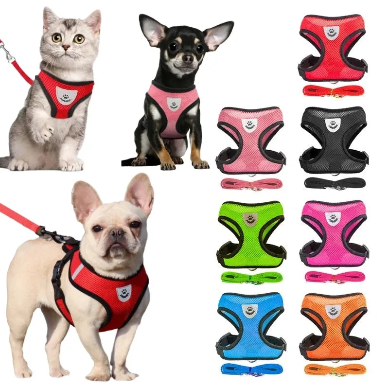 Breathable Mesh Harness for Pets