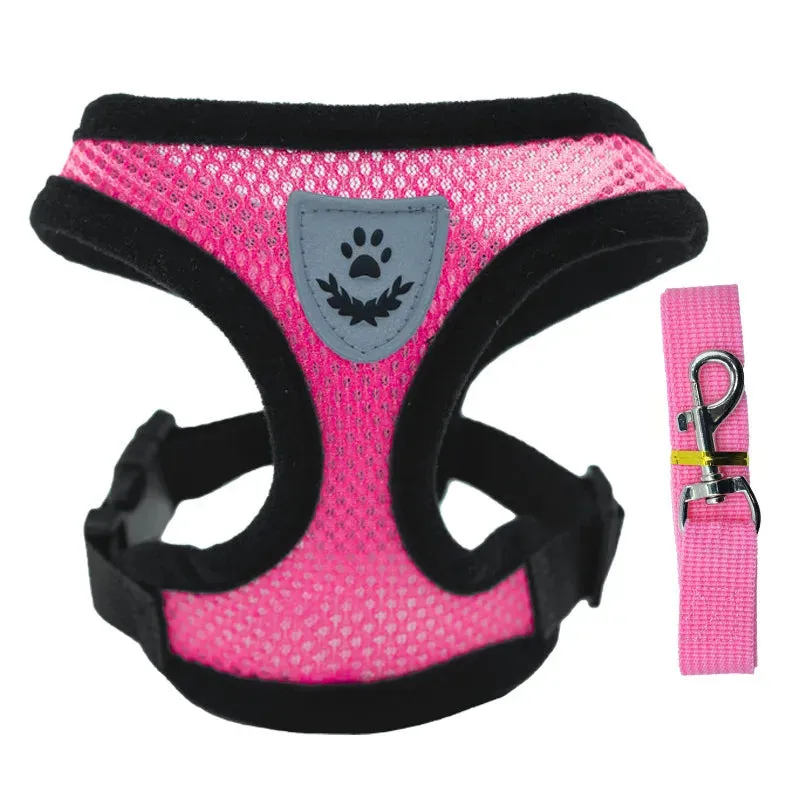 Breathable Mesh Harness for Pets