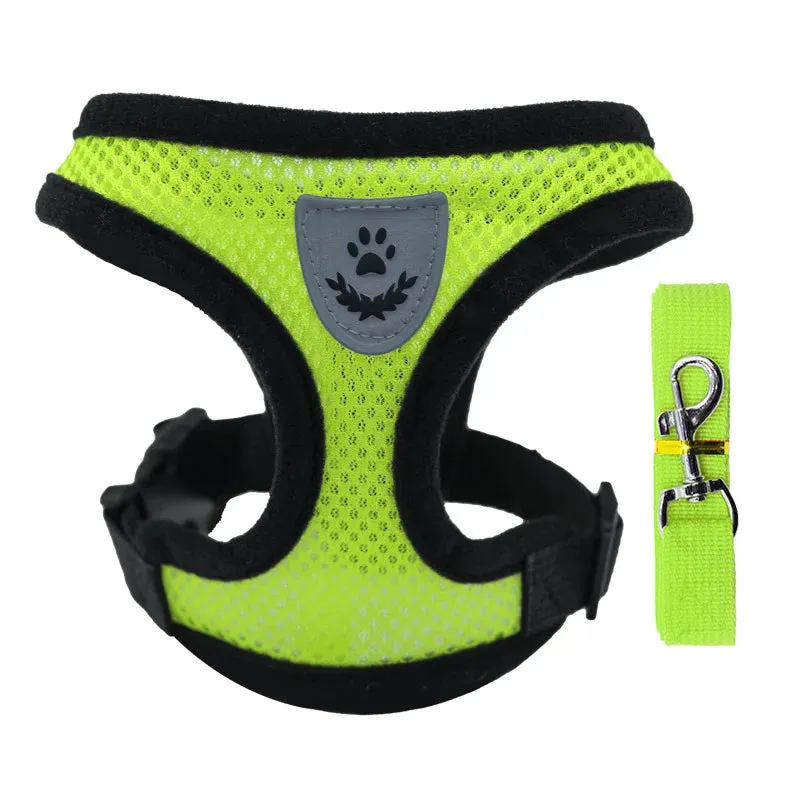 Breathable Mesh Harness for Pets