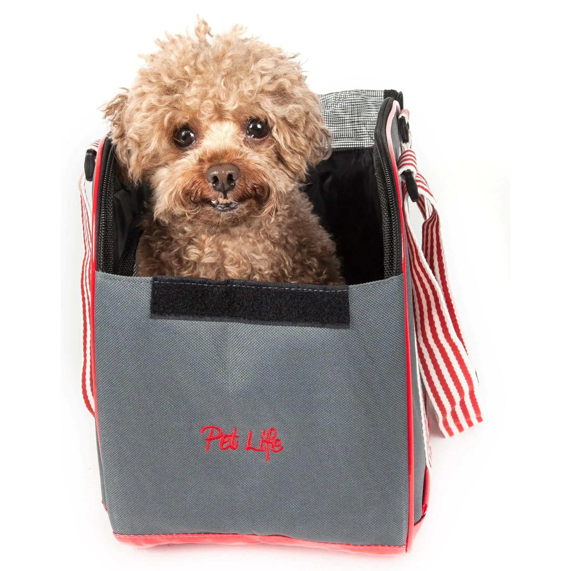 Breathable Mesh Pet Carrier Transport