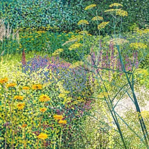 Cambo Gardens Fennel Limited Edition Print