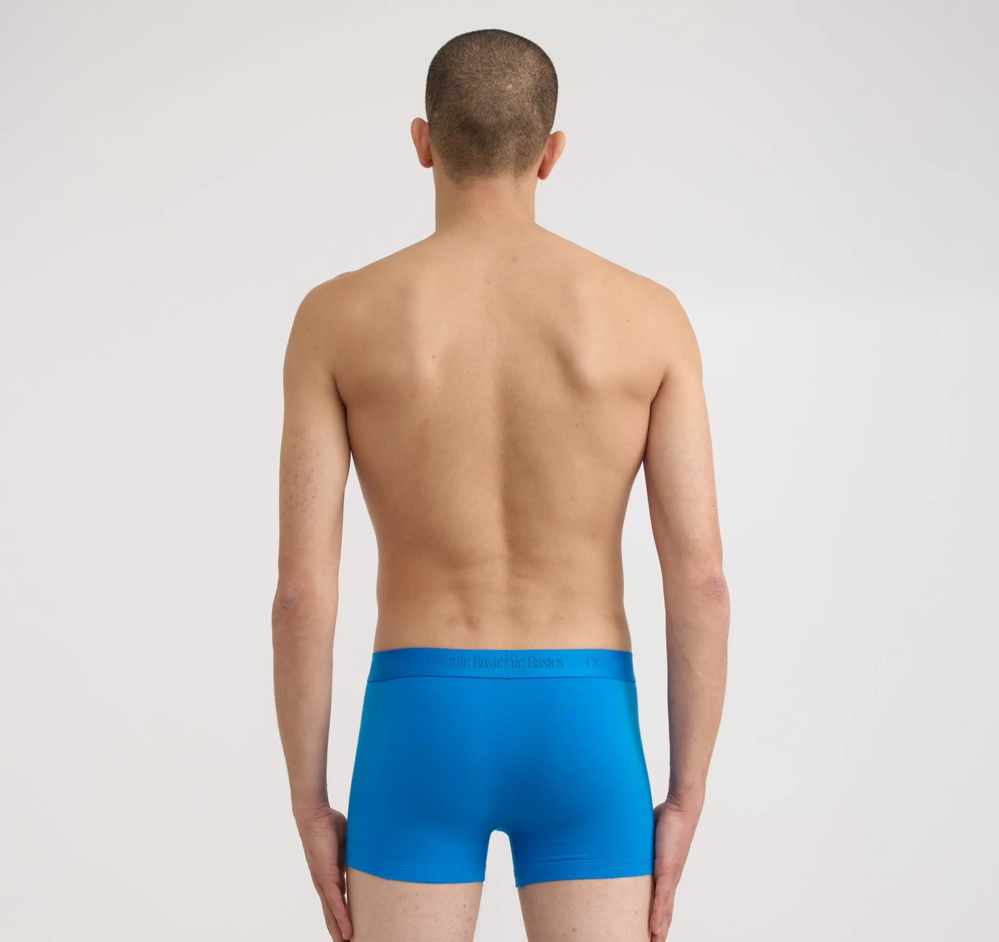 Core Trunks 6-Pack