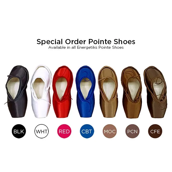 Emilia Pointe Shoe 🩰 Flexible Soft Shank