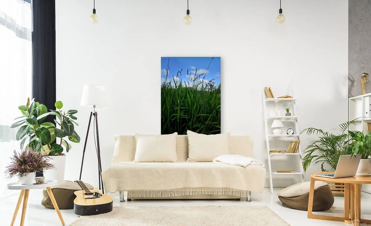 Field Of Dreams