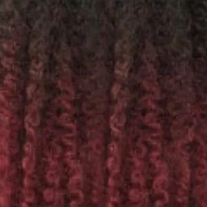 Janet Collection Nala Tress Synthetic Braid - PASSION TWIST BRAID 24" 28"