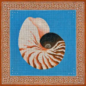 Nautilus Shell w/Oriental Border