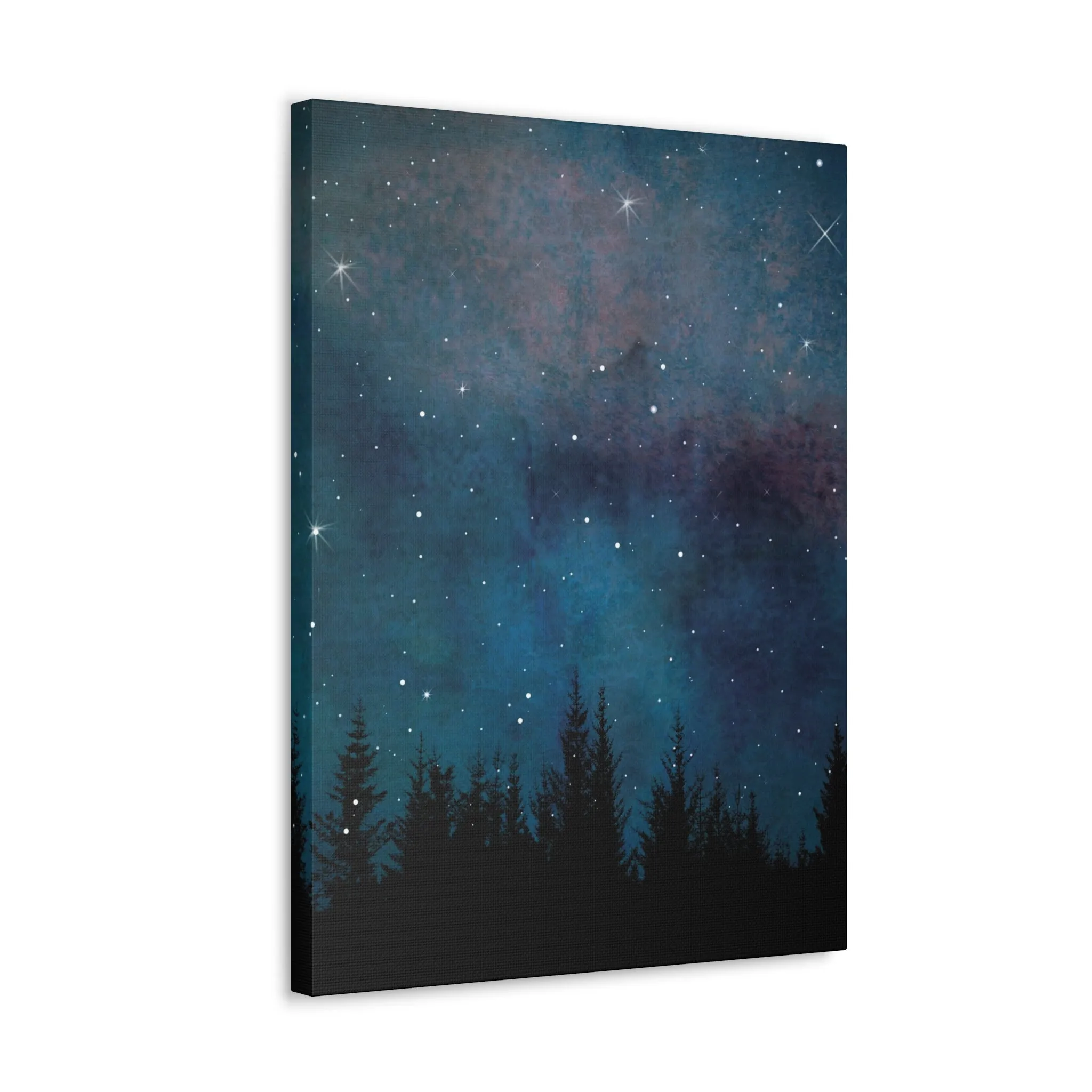 Night Sky Canvas Print