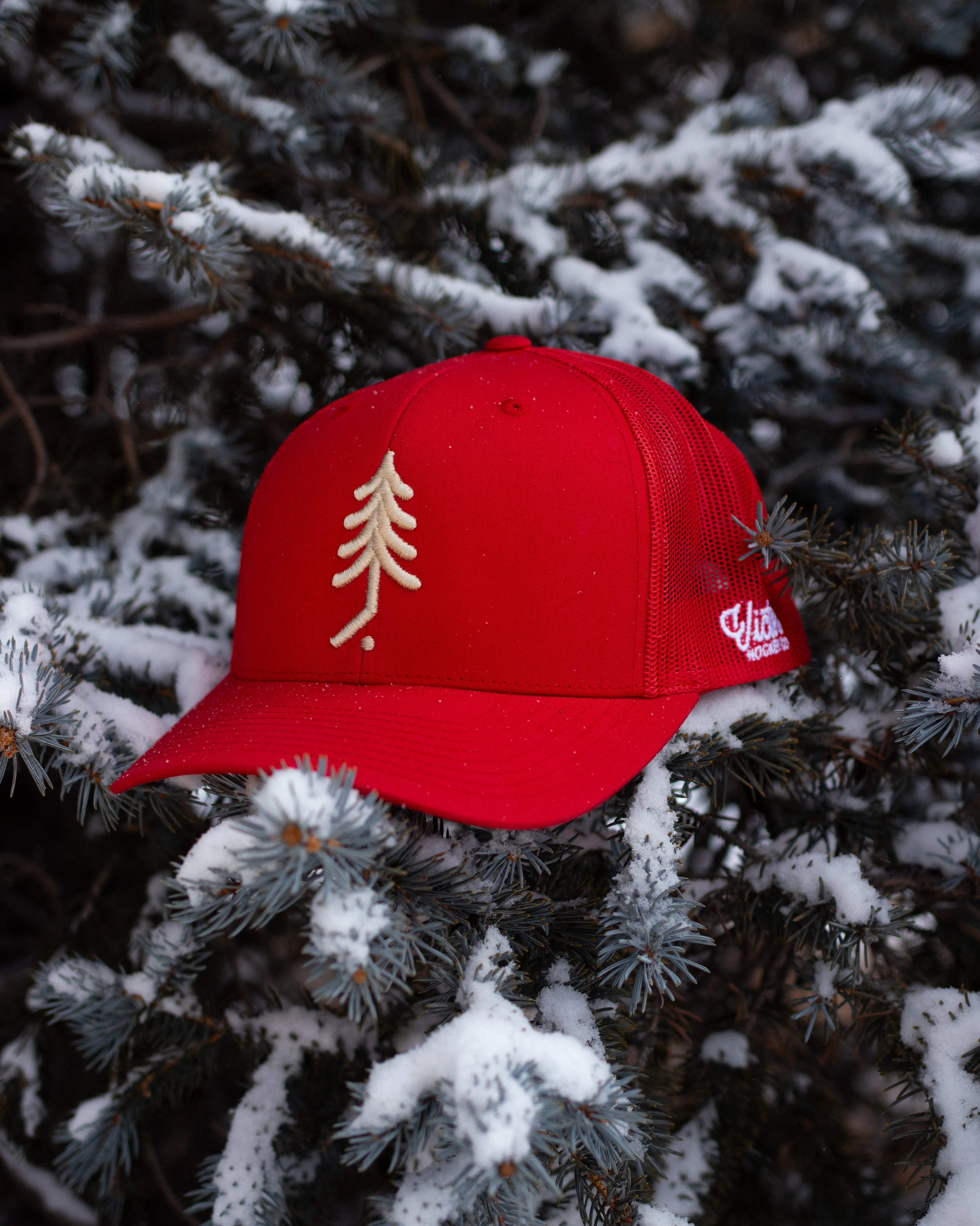 Pinetree Mesh Snapback - Low Profile