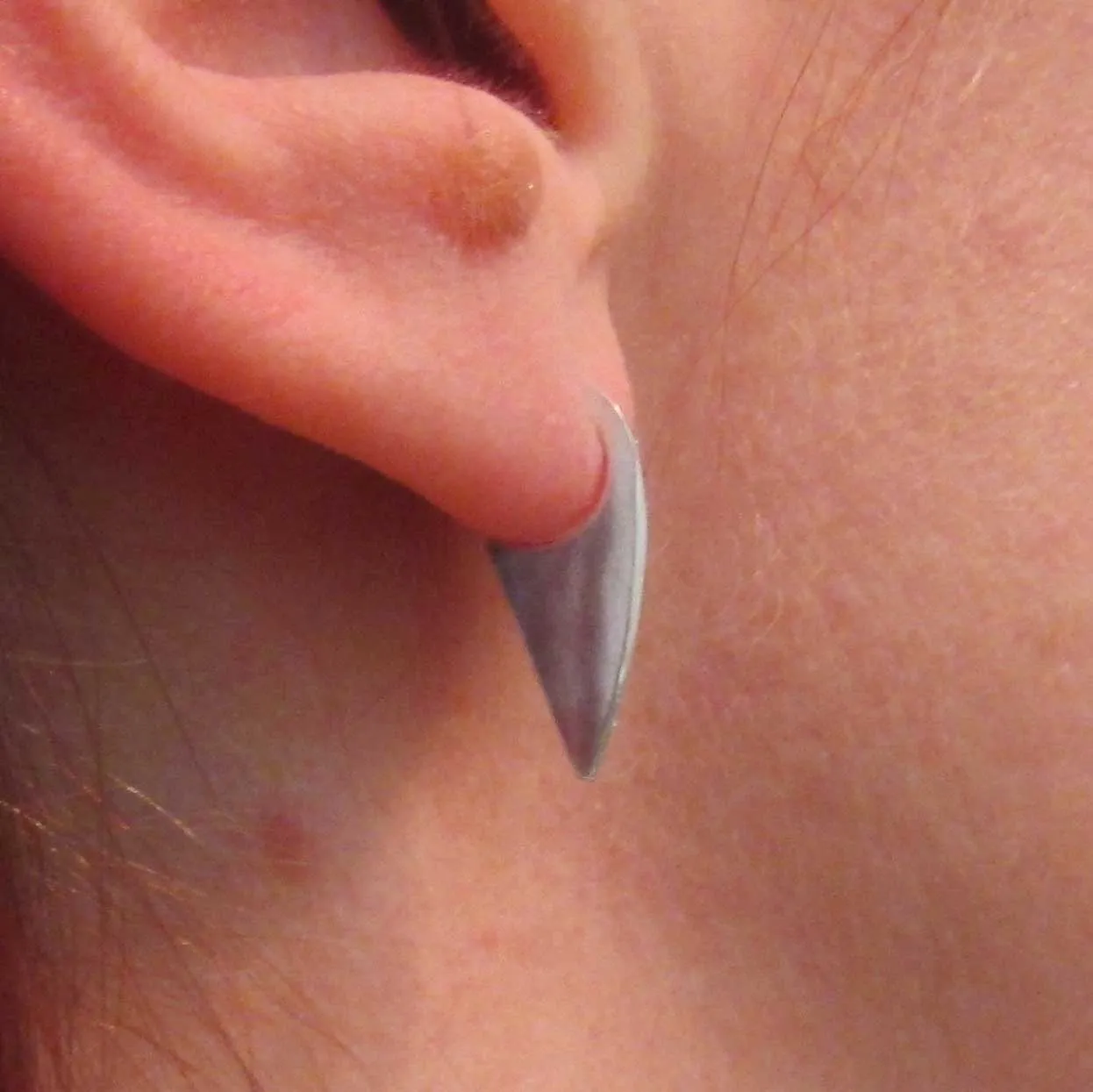 Silver Claw Earrings